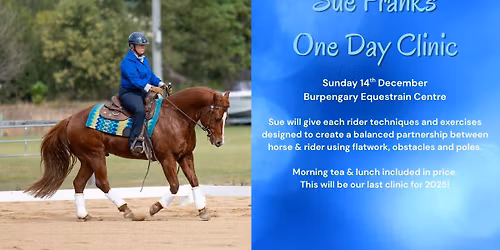 Sue Franks One Day Horsemanship at BEC