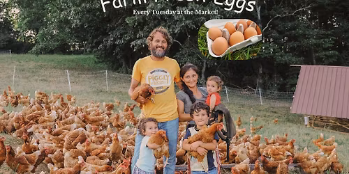 Your Farm Fresh Eggs \u2013 Every Tuesday in Knoxville!