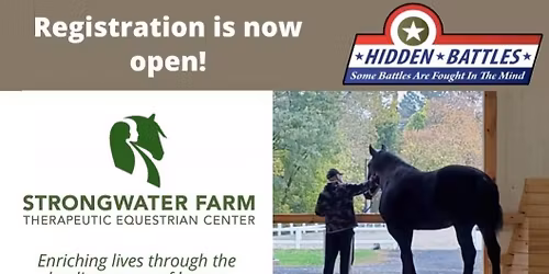 Equine Therapy Program