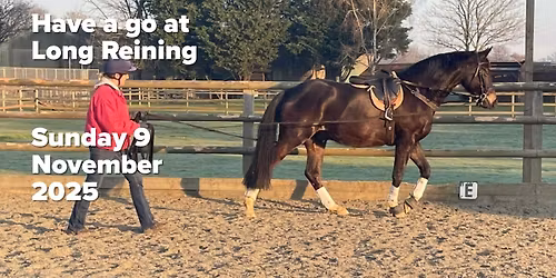Have a go at Long Reining