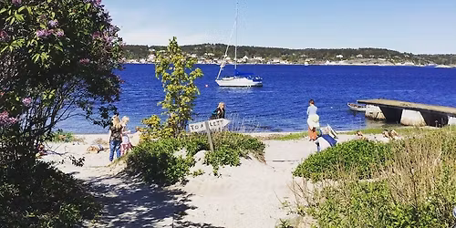 Fra da til n\u00e5 -med Ole Evenrud