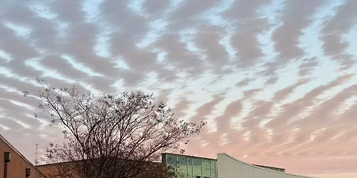 Mannsdale Lower Elementary School Spirit Night 