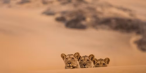 [PROJECTION] Interm\u00e8des Nature #7 - Les pr\u00e9dateurs du monde sauvage