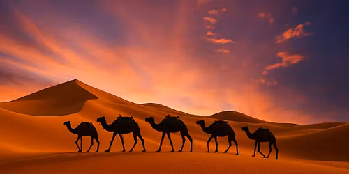 Morocco Desert Escape (Thanksgiving Special)