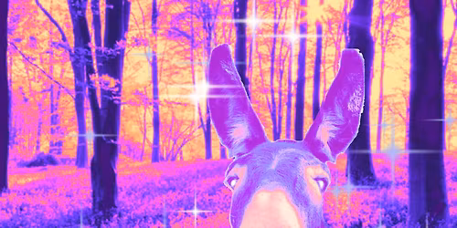 A Midsummer Nights Dream - Auditions