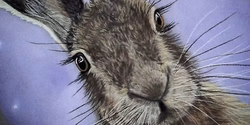 Moonlit Hare in Pastels Workshop 