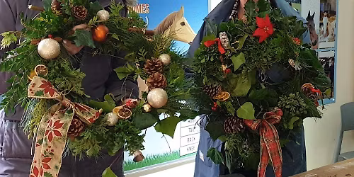 Willow Weaving Workshops