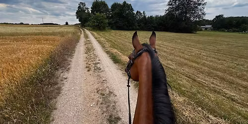 I Amatorskie Zawody Je\u017adzieckie w Stajni Galop