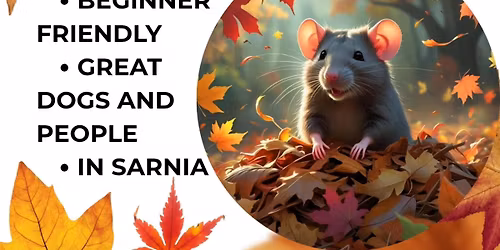 ABI -  FALLing for Rats , Urban Rat Race Trial