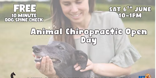 Animal Chiropractic Open Day - Free Dog Spine Checks