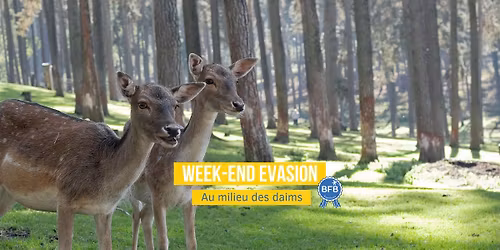 Week end \u00e9vasion au milieu des daims By BFB Experience