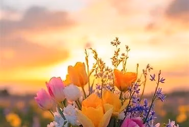 SGB Flower Club: Golden Hour Glow