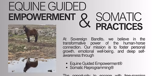 Group Equine Guided Empowerment Session