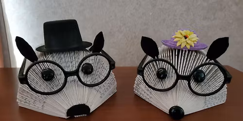 Hedgehog Book Fold Class (ages 8+)