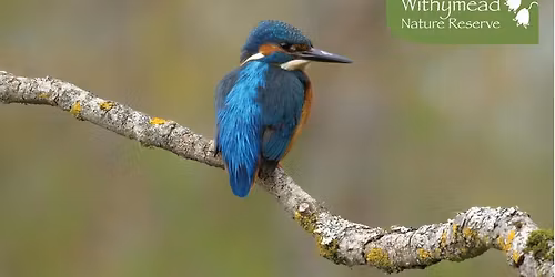 'Withymead on Tour' at the Saturday Morning Community Coffee Shop, Woodcote