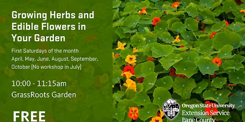 Growing Herbs and Edible Flowers in Your Garden