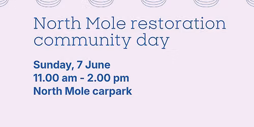 North Mole restoration community day