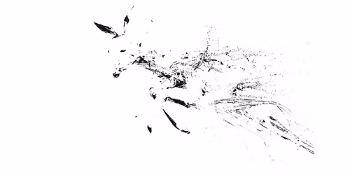 \u0150sbizalom \u2013 Selyebi Dani ki\u00e1ll\u00edt\u00e1smegnyit\u00f3ja