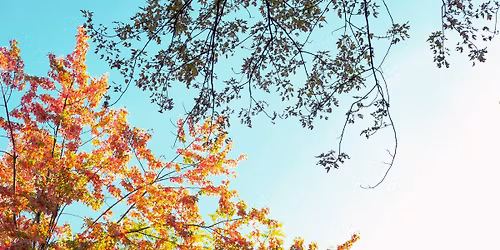 Trusting the Way  ||   A Daylong \/ Half-day Meditation Retreat