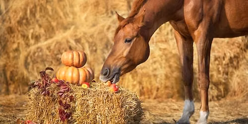 October Meeting 