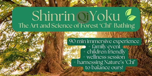 Shinrin - Yoku: The Art of Forest 'Chi' Bathing