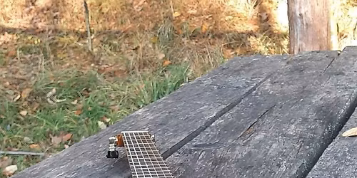 \u015aPIEWANKI OLSZTY\u0143SKIE "\u015aWI\u0104TECZNIE"