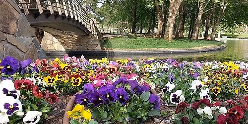 Guided Walk: Rymill Park \/ Murlawirrapurka (Park 14)