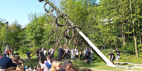 Maibaum-Aufstellen in Oberachmann auf der Agerinsel