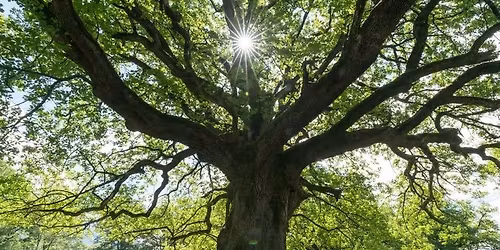 \u0421\u0435\u043c\u0435\u0439\u043d\u0438 \u043a\u043e\u043d\u0441\u0442\u0435\u043b\u0430\u0446\u0438\u0438 - \u0413\u0440\u0443\u043f\u0430 \u0437\u0430 \u041f\u0440\u0430\u043a\u0442\u0438\u043a\u0430 \u043f\u043e \u043c\u0435\u0442\u043e\u0434\u0430 \u0441 \u041c\u0430\u0440\u0442\u0438\u043d \u041a\u0430\u0440\u0430\u043a\u043e\u043b\u0435\u0432 \u0438 \u041a\u0440\u0438\u0441\u0442\u0438\u043d\u0430 \u041a\u044a\u0440\u043f\u0430\u0447\u0435\u0432\u0430