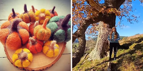 Cosy creations with seasonal reflections \u2013 Autumn Pumpkins with Anja Torikka