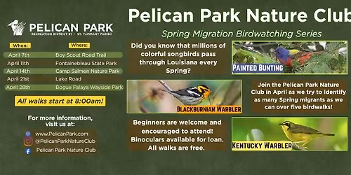 Spring Migration Birdwatching Series - Fontainebleau Early Birds