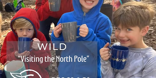 Wild Ones: Visiting the North Pole