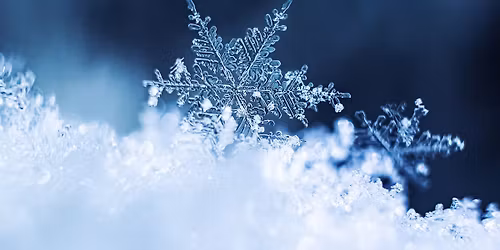 Little Kids, Big World: Snowflakes