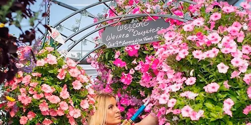 Wayne\u2019s Daughters Farm & Greenhouse Spring Season 2026\u2019 Grand Opening!!!