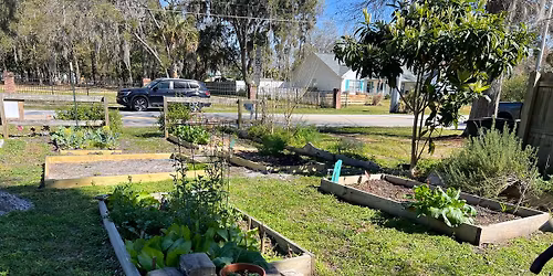 Dutton Island Community Garden Open House and Workday