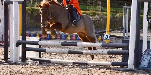 Ludlow Pony Club Open Halloween Show Jumping Competition 2025