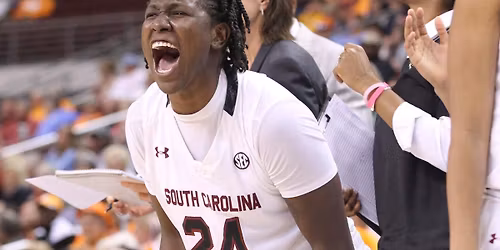 Tennessee Lady Vols at South Carolina Gamecocks Womens Basketball at Colonial Life Arena