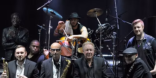 Rats in the kitchen Live Direct 