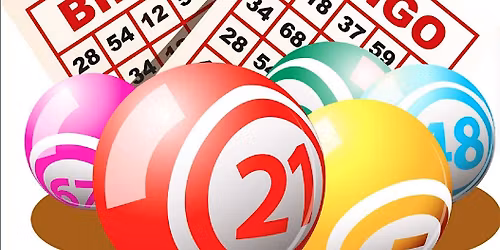 Boozy Bingo & Day disco