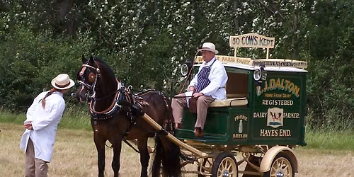 Warfield Carriage Driving Show