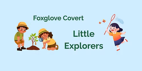 Little Explorers