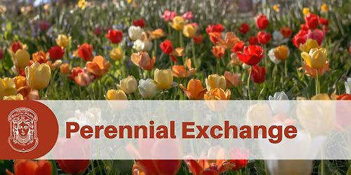 South Park Perennial Exchange 