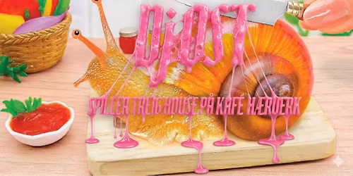Dj Ost spiller treig house \/\/ Kaf\u00e9 H\u00e6rverk 
