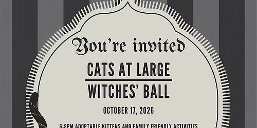 Cats At Large Witches' Ball