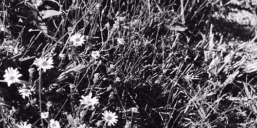 John Moreland, Patterson Hood in Alexandria