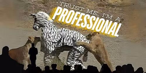 Trust Me, I'm a Professional: A PowerPoint Comedy Show
