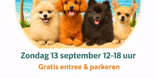 The Little Dogs Party