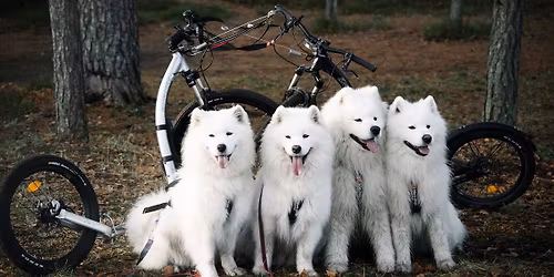 P\u00f5hjamaiste kelgukoerte veokatse\/ Nordic Sleddog Trial