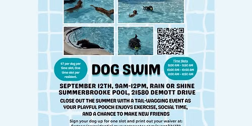 Dog Swim