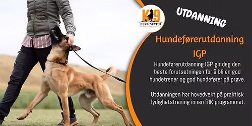 Hundef\u00f8rerutdanning IGP